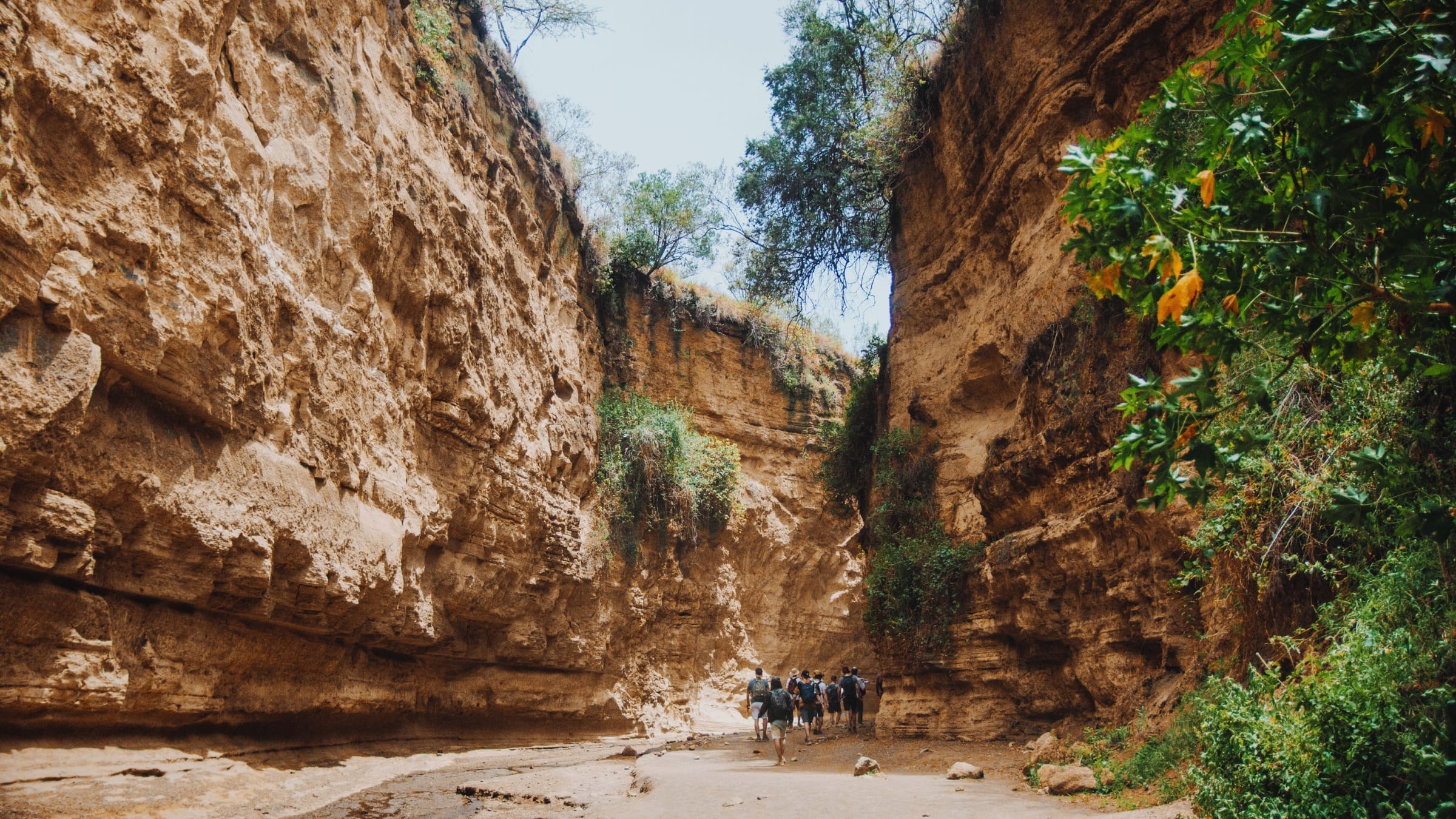 Groep wandelaars loopt door de smalle kloof van Hell’s Gate National Park met hoge rotswanden aan weerszijden