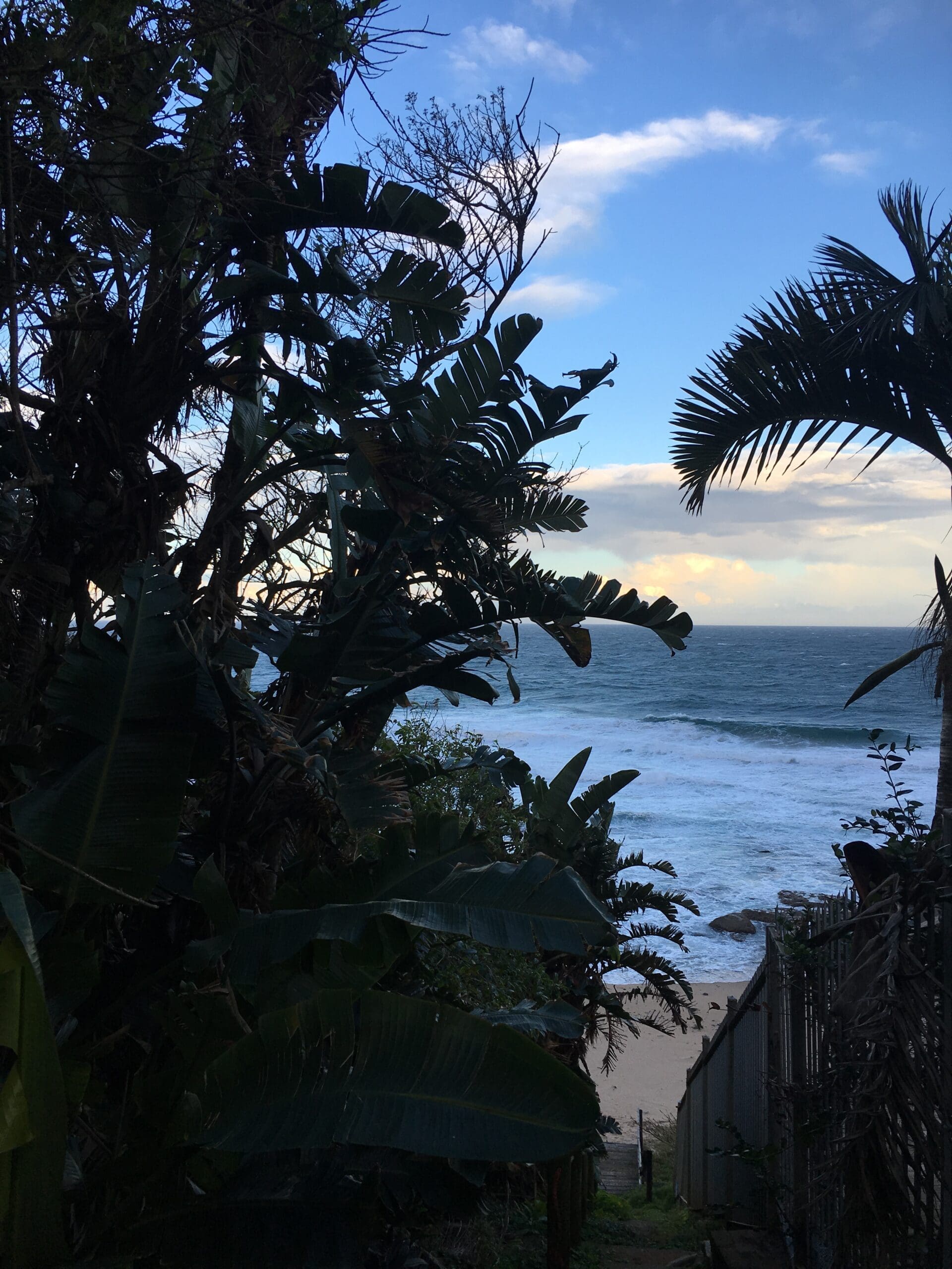 Tropische planten en palmbomen omlijsten een uitzicht op de oceaan, met golven die neerstorten op een zandstrand onder een gedeeltelijk bewolkte blauwe lucht. Een houten hek verschijnt aan de rechterkant van de afbeelding.