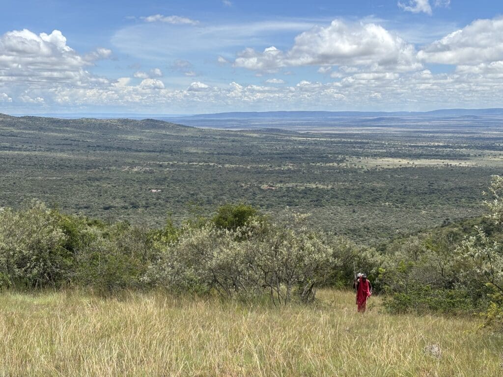 Die Loita Hills