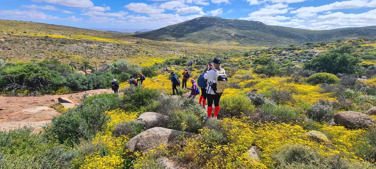 A group of hikers walks through a field of yellow wildflowers and green shrubs, surrounded by rocky hills and mountains under a bright, partly cloudy sky.