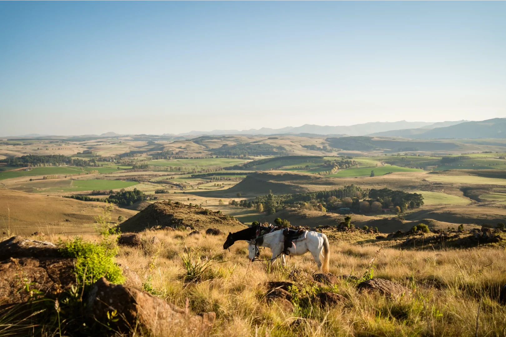 Een paard graast op droog gras in een heuvelachtig landschap onder een heldere hemel, reizigers uitnodigend om groene velden, glooiende heuvels en bergen in de verte te verkennen die doen denken aan de adembenemende horizon van Afrika.