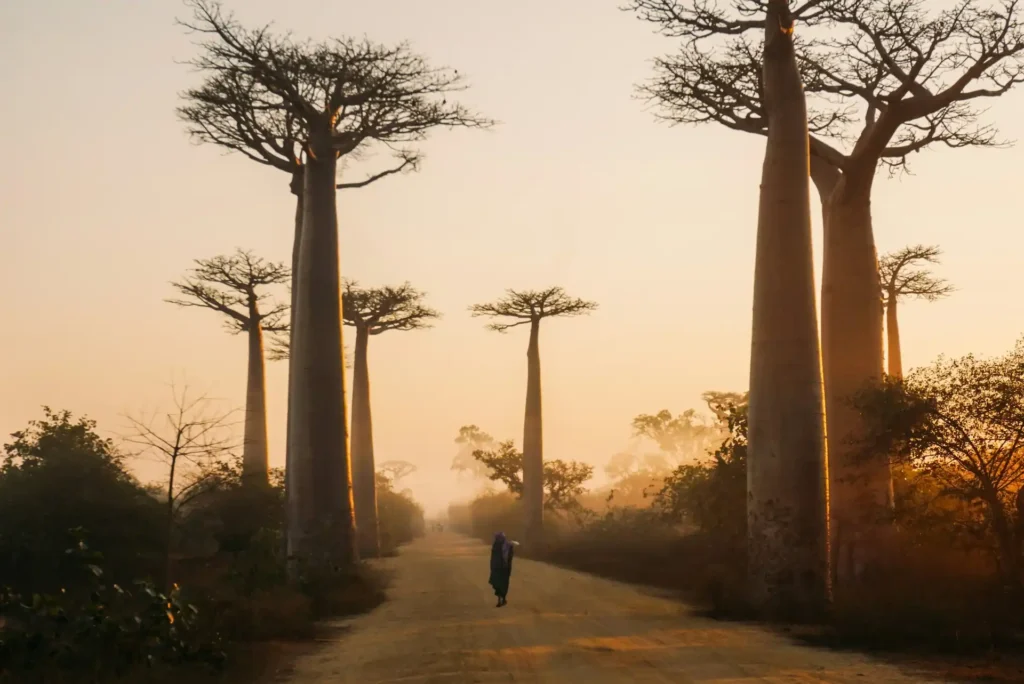Reizen door Madagaskar