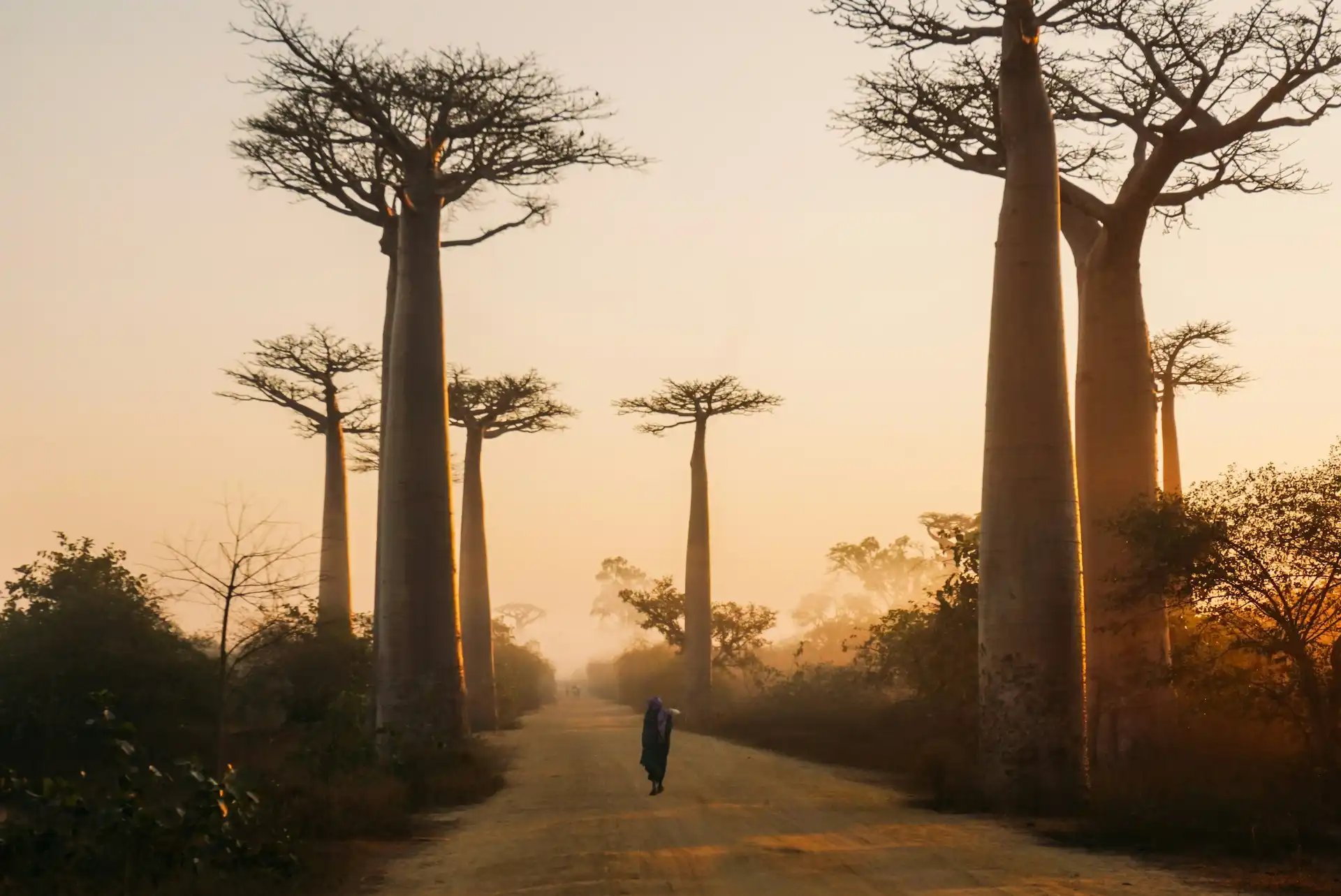 Reizen door Madagaskar