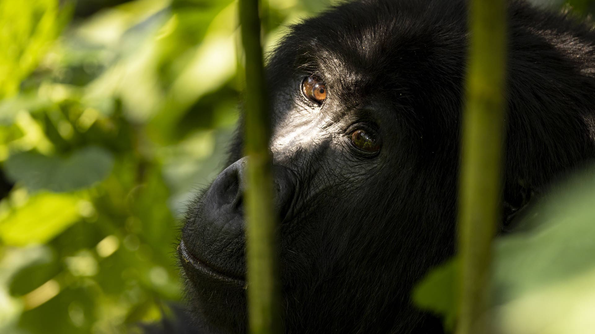 Your Uganda Holiday: Tips!