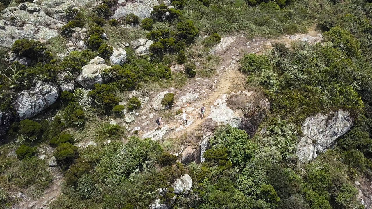Luchtfoto van een rotsachtig wandelpad dat door groene struiken en bosjes kronkelt in Tanzania, met drie mensen die over het pad lopen omringd door natuurlijke vegetatie en grote rotsen.