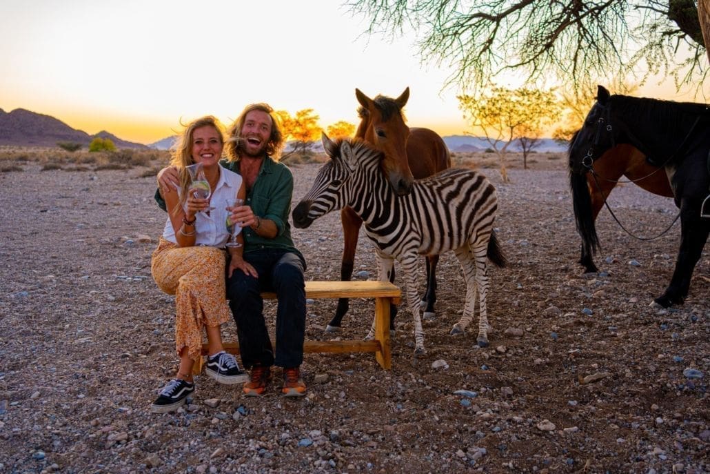 stel proost met drankjes tijdens zonsondergang met zebra en paarden in woestijngebied van namibië
