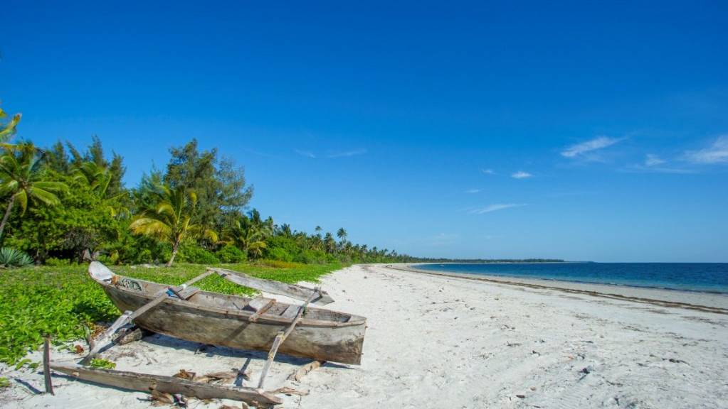 Een verweerde houten boot rust op wit zand naast groene vegetatie, met palmbomen langs de linkerkant onder een helderblauwe hemel langs de rustige kustlijn van Tanzania - een uitnodigend tafereel voor reizen in Afrika.