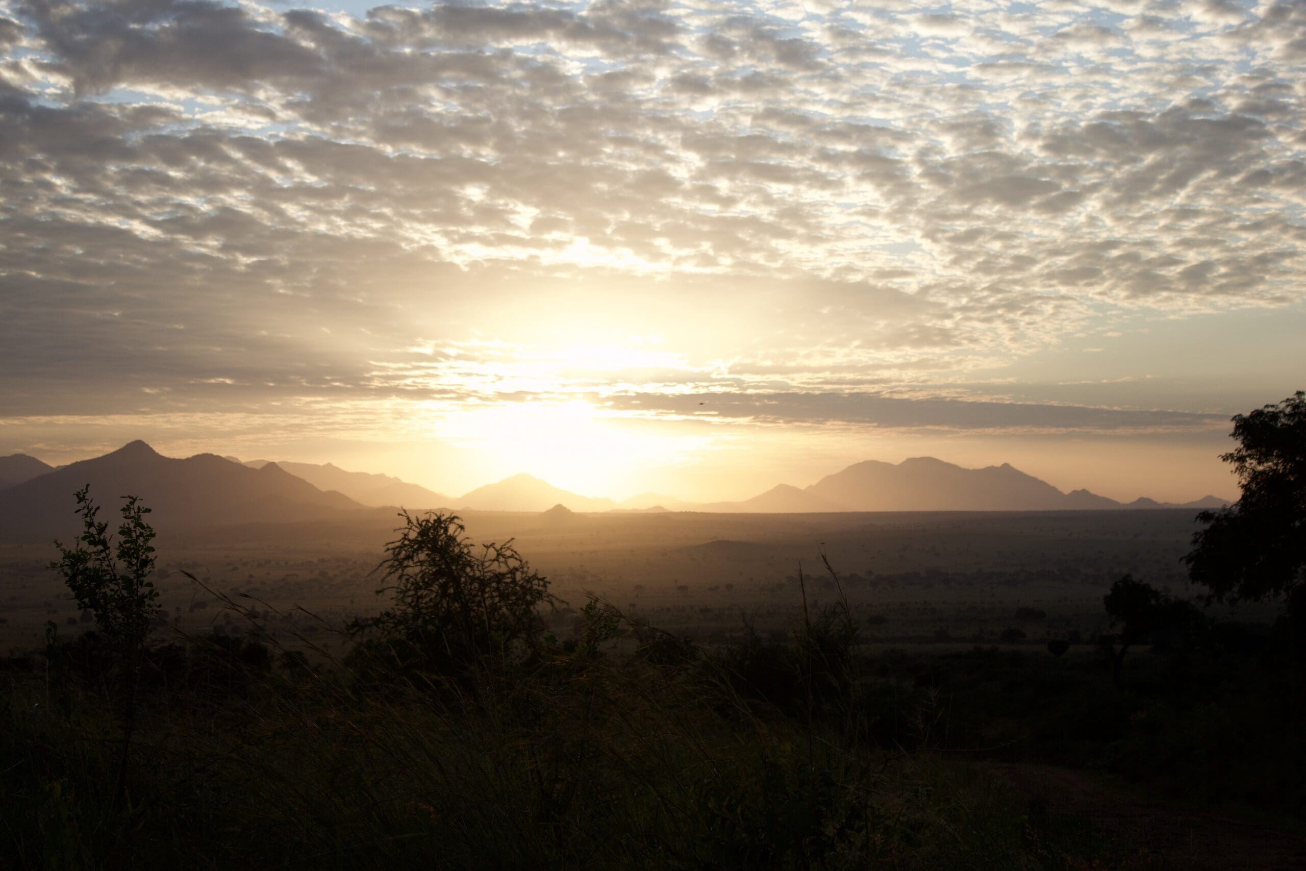 Een gouden zonsopgang of zonsondergang boven verre bergen in Afrika, met verspreide wolken boven je hoofd en het silhouet van bomen en gras op de voorgrond - perfect voor wie van reizen houdt en ervan droomt Oeganda te verkennen.