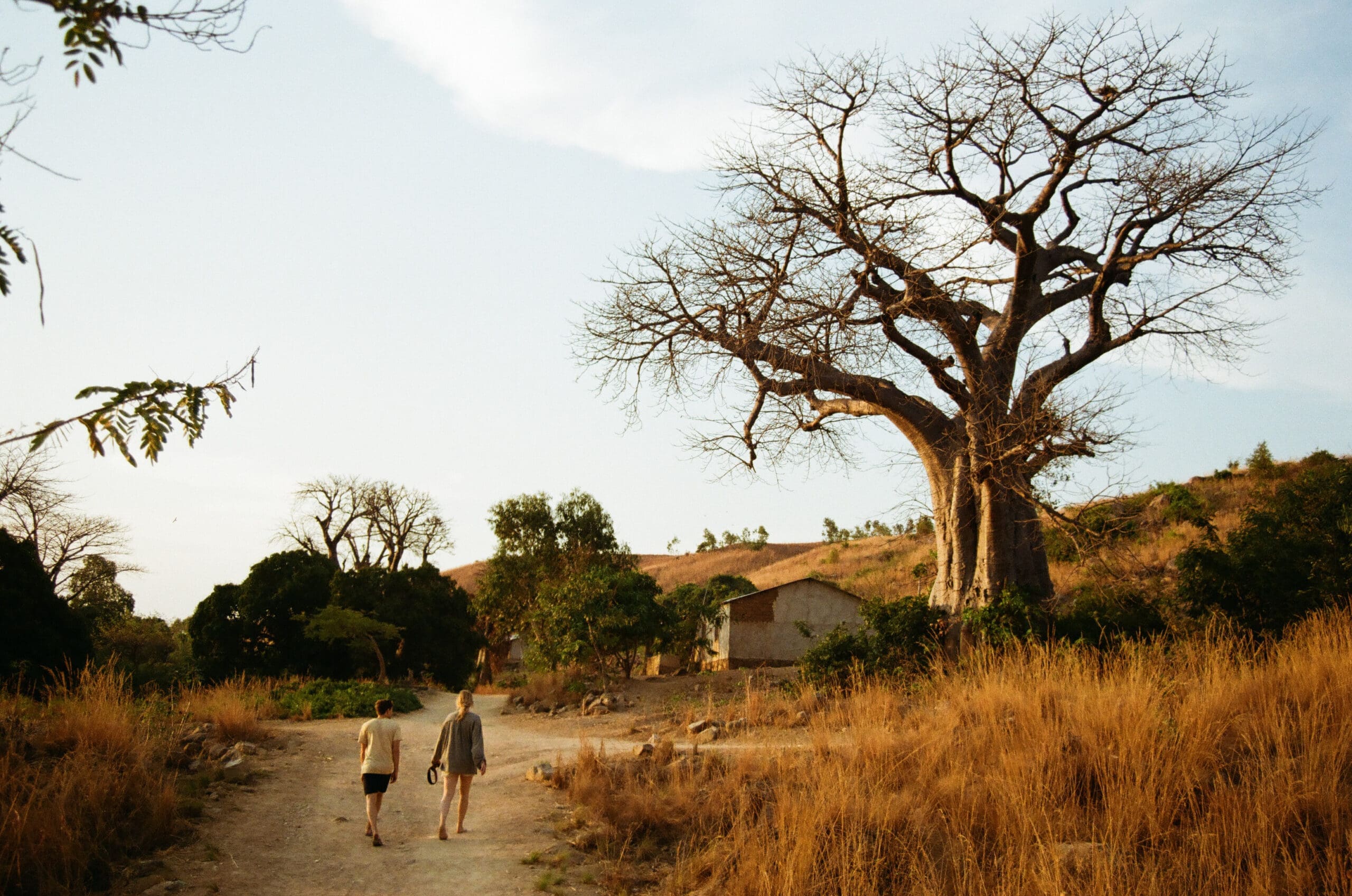 Twee mensen lopen over een zandpad in de richting van een klein huis, omringd door droog gras en grote bladerloze baobab bomen onder een gedeeltelijk bewolkte hemel in een landelijk landschap.
