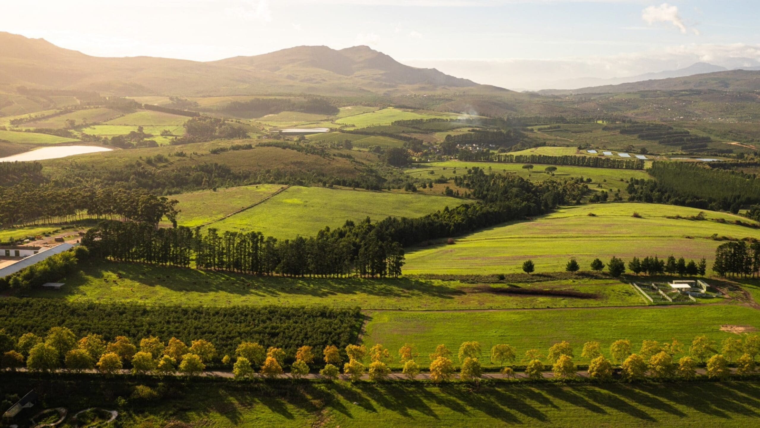 Een schilderachtig uitzicht vanuit de lucht op glooiende groene velden, bomen en bergen in de verte onder een gedeeltelijk bewolkte hemel, badend in warm zonlicht - een uitnodigend landschap dat Afrika reizigers inspireert om te dromen van nieuwe avonturen.