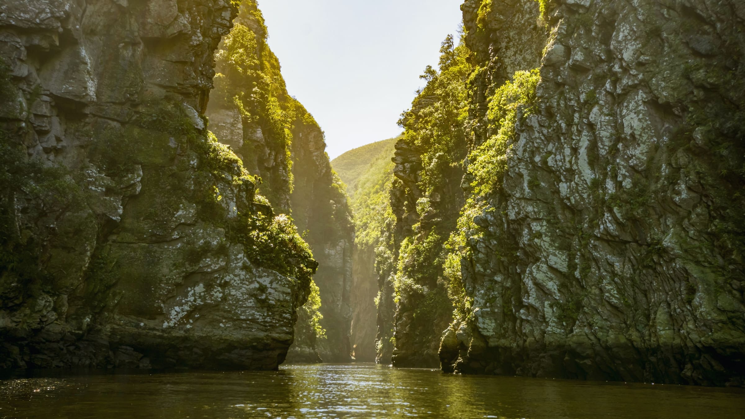 Een smalle rivier stroomt tussen hoge, steile kliffen bedekt met groene vegetatie, met zonlicht dat het rotsachtige landschap verlicht en een heldere hemel erboven - een betoverend uitzicht voor reizigers die de schoonheid van Zuid Afrika verkennen.