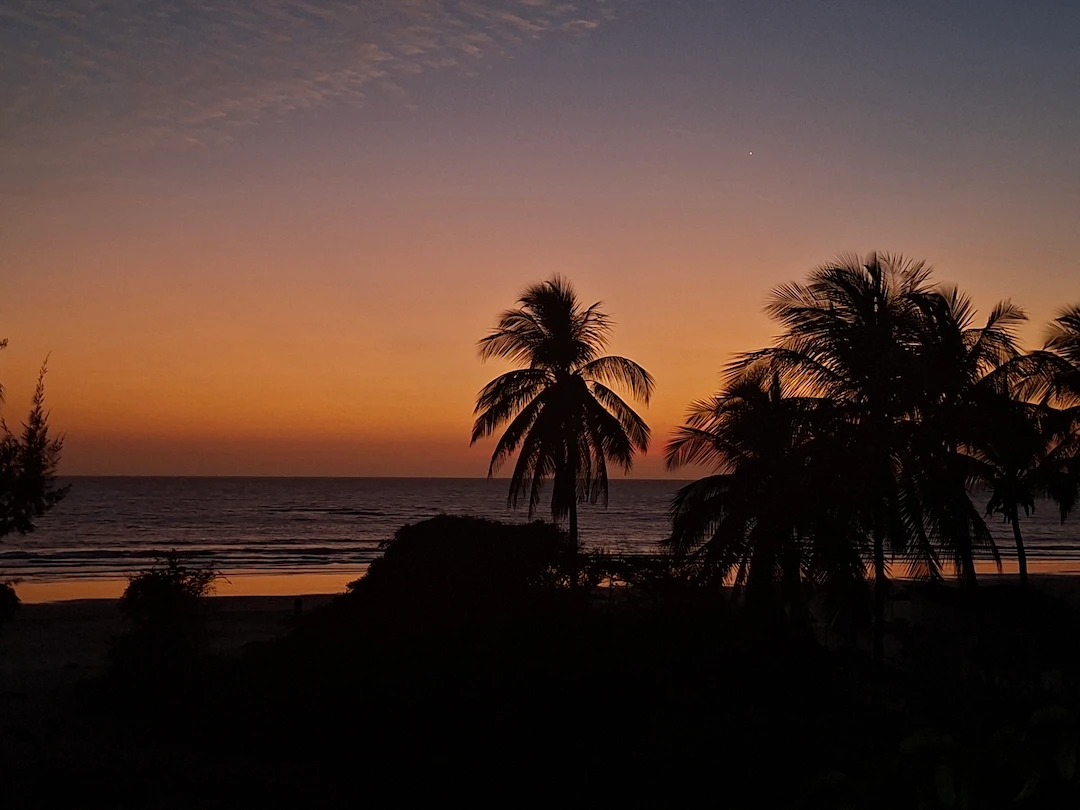 De silhouetten van palmbomen steken af tegen een levendige oranje en paarse zonsonderganghemel boven een kalme oceaan, waardoor een vredig tropisch strandtafereel ontstaat.