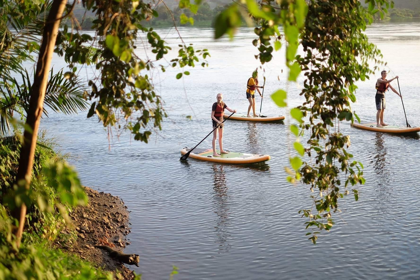 Drie mensen peddelen op een kalme rivier omgeven door weelderig groen, gezien door bladertakken, met zonlicht dat weerkaatst op het water.