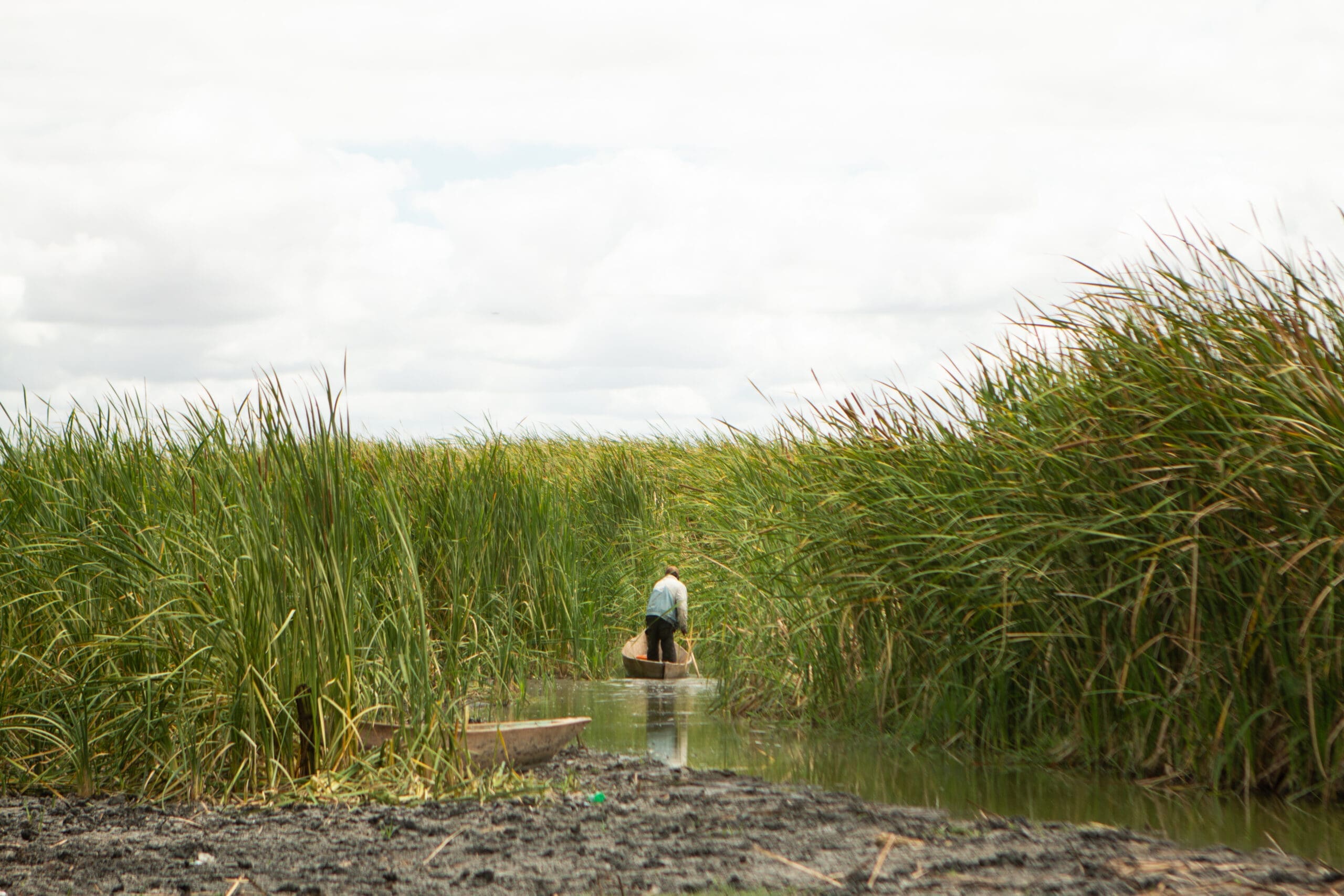 Een persoon staat op een kleine houten boot die door een smalle waterweg vaart omgeven door hoog groen riet onder een bewolkte hemel. De voorgrond toont modderige grond aan de waterkant.
