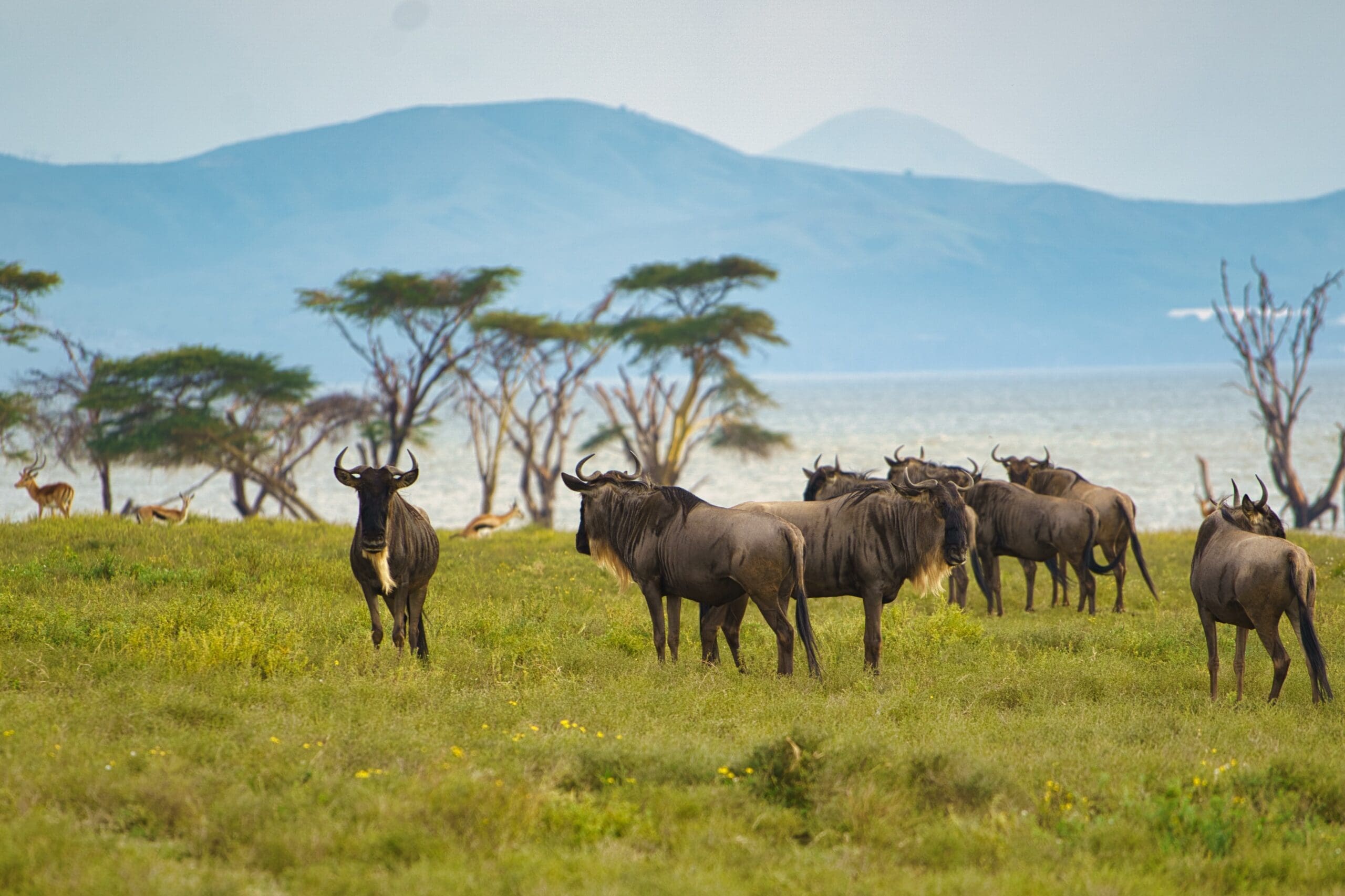 Abenteuerliche Reise durch Westkenia