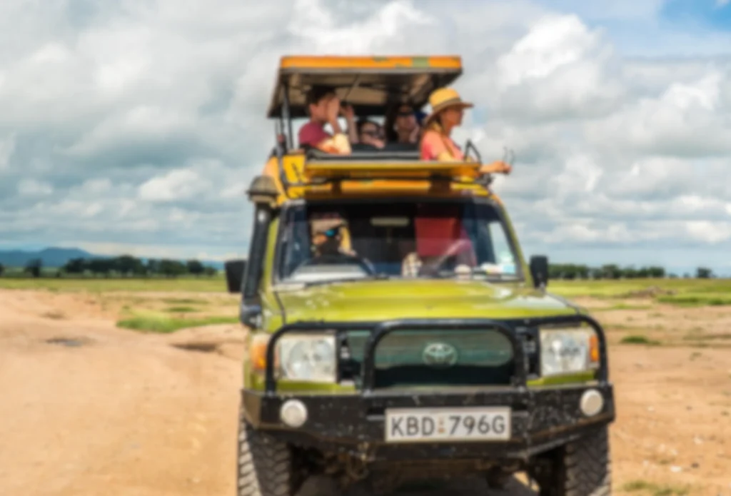 Eine Gruppe von Safari-Teilnehmern steht in einem grünen Jeep mit offenem Dach und beobachtet die Landschaft unter einem teilweise bewölkten Himmel. Das Fahrzeug ist auf einer unbefestigten Straße mit Grasfeldern im Hintergrund geparkt.