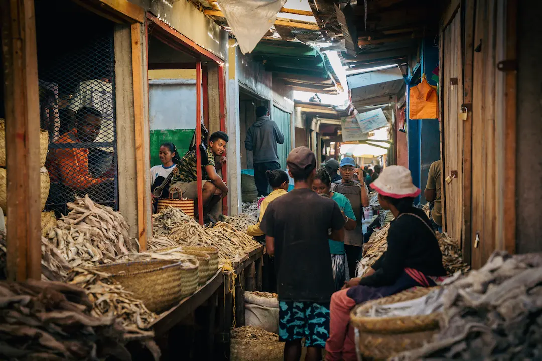 Mensen lopen en zitten in een smal steegje op de markt, waar kraampjes met gedroogde vis staan opgesteld. Manden en stapels gedroogde vis vullen het tafereel, terwijl het zonlicht door de openingen in het dak erboven naar binnen schijnt.