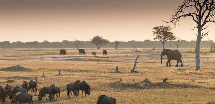 Complete self-drive Zambia & Zimbabwe