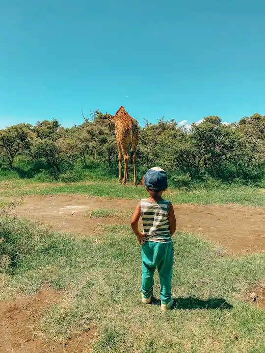 Een jong kind met een hoedje staat op het gras en kijkt naar een giraf in de verte. Ze worden omringd door struiken en bomen onder een helderblauwe hemel.