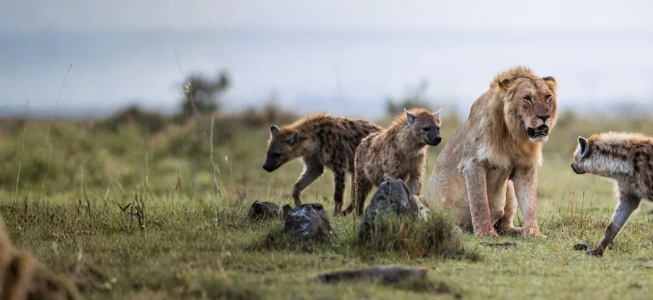 Western Zambia & Liuwa Plains