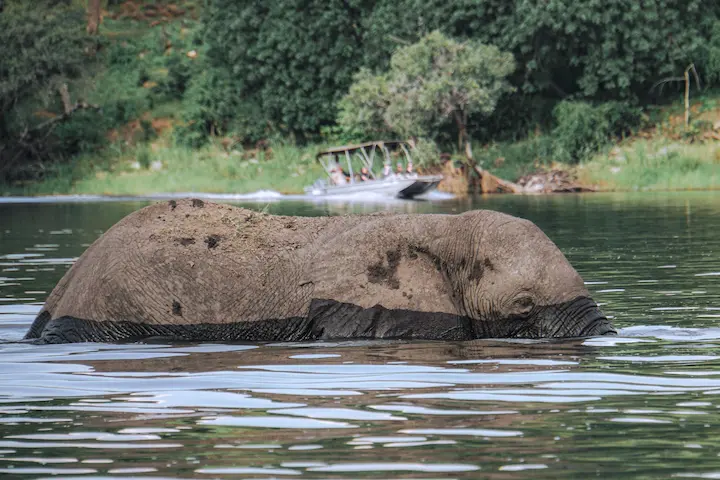 Lower Zambezi & Zambezi River